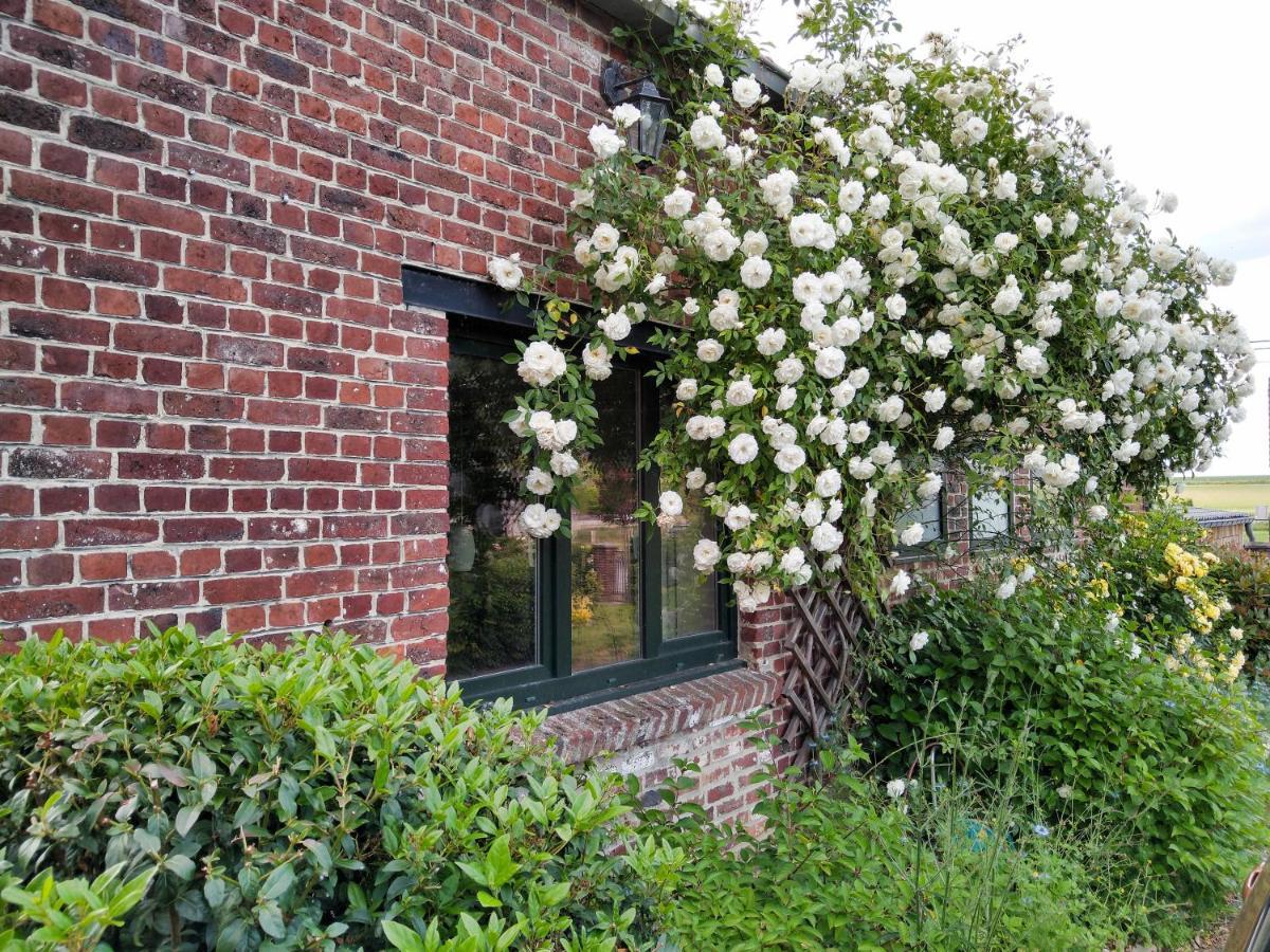 Gite Rural Les Petites Tetes Leuze-en-Hainaut Exterior photo