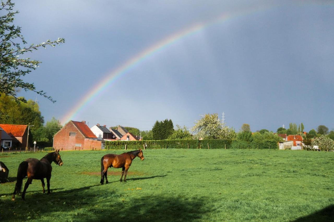 Gite Rural Les Petites Tetes Leuze-en-Hainaut Exterior photo