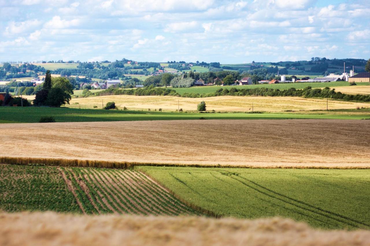 Gite Rural Les Petites Tetes Leuze-en-Hainaut Exterior photo